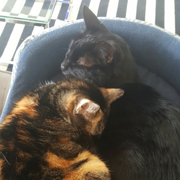 Meet your Posher, Heather - Picture 6 of 8